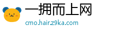 一拥而上网
